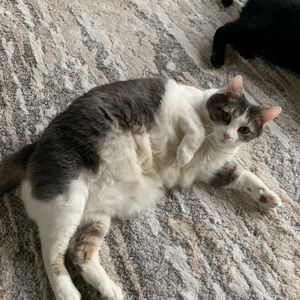 Meet your Posher, Karen